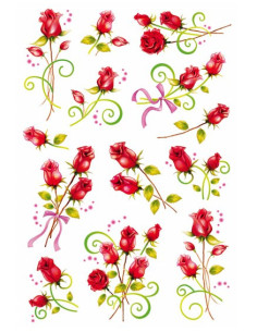 STICKERS HERMA 3347 ROSOR 2