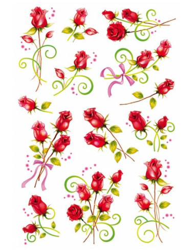 STICKERS HERMA 3347 ROSOR