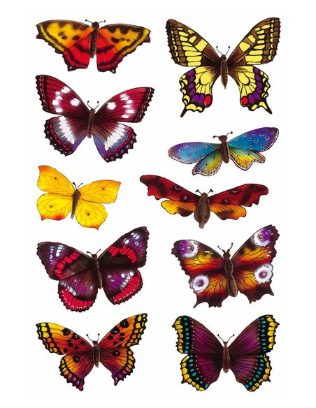 STICKERS HERMA 3349 FJÄRIL