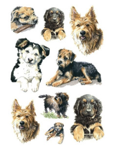 STICKERS HERMA 3341 HUNDAR 2