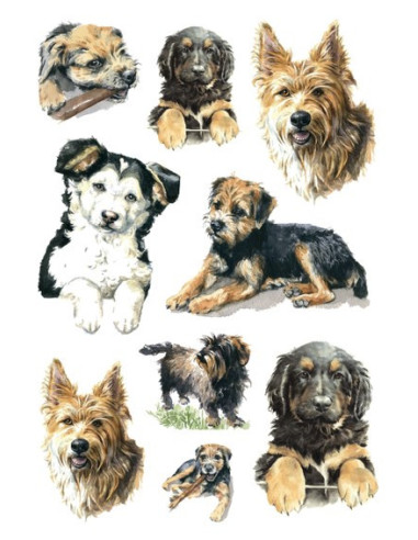 STICKERS HERMA 3341 HUNDAR