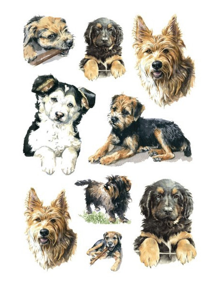 STICKERS HERMA 3341 HUNDAR