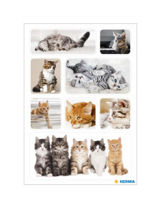 STICKERS HERMA KITTENS 2