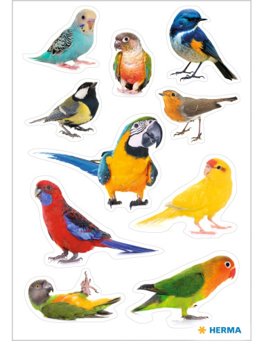 STICKERS HERMA BIRDS