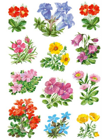 STICKERS HERMA 3582 BLOMMOR