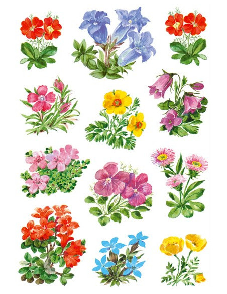 STICKERS HERMA 3582 BLOMMOR