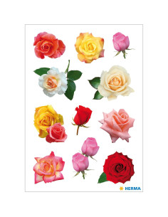 STICKERS HERMA 3308 ROSOR 2