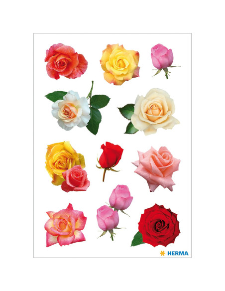 STICKERS HERMA 3308 ROSOR