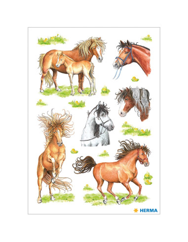 STICKERS HERMA 3307 HÄSTAR