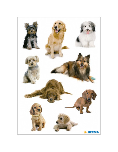 STICKERS HERMA 3432 HUNDAR