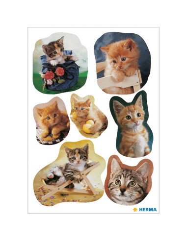 STICKERS HERMA 5747 KATTUNGAR