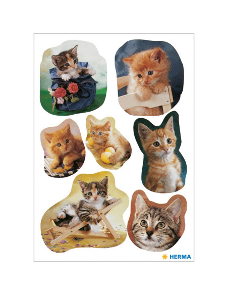STICKERS HERMA 5747 KATTUNGAR