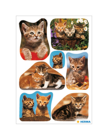 STICKERS HERMA 3527 KATTER