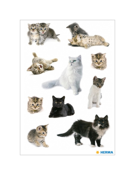 STICKERS HERMA 3433 KATTER