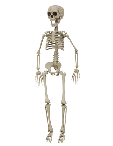 SKELETT 76 CM