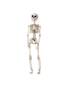 HANGING SKELETON 29CM