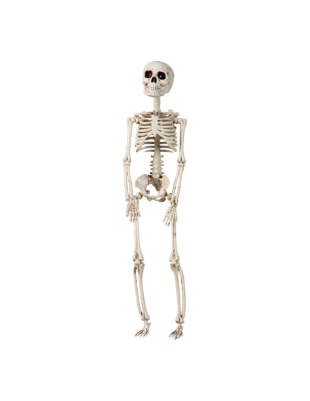 HANGING SKELETON 29CM