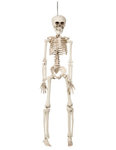HANGING SKELETON 42CM