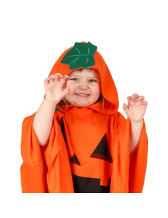 PUMPKIN CAPE 86-92CL 2