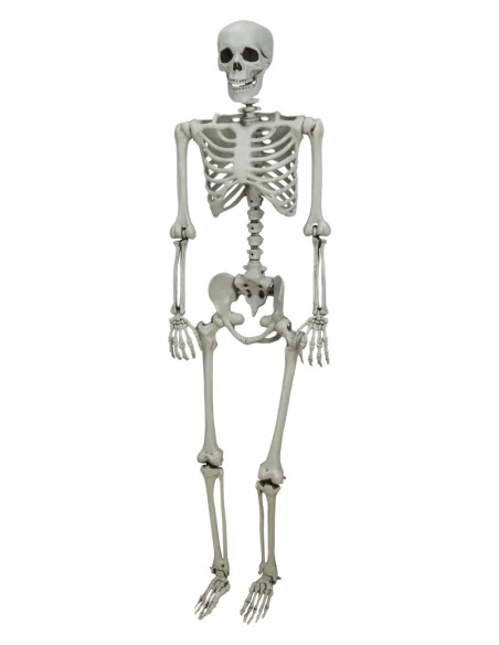 SKELETT 155CM