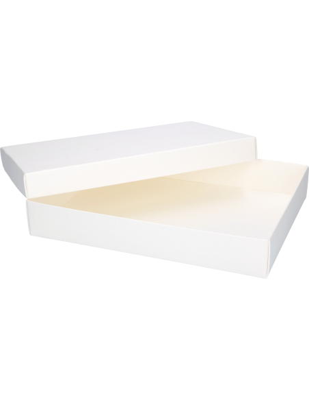 PRESENTASK 22X16X40CM VIT