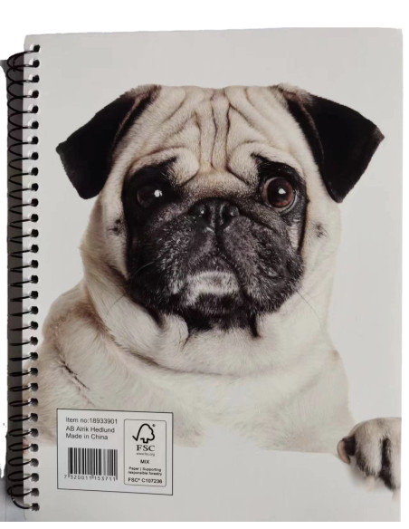 KOLLEGIEBLOCK A5 PUG