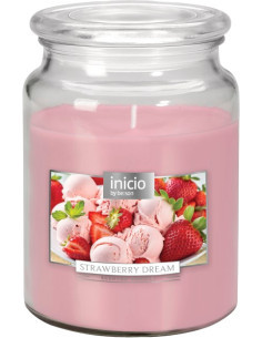 INICIO STRAWBERRY 100H