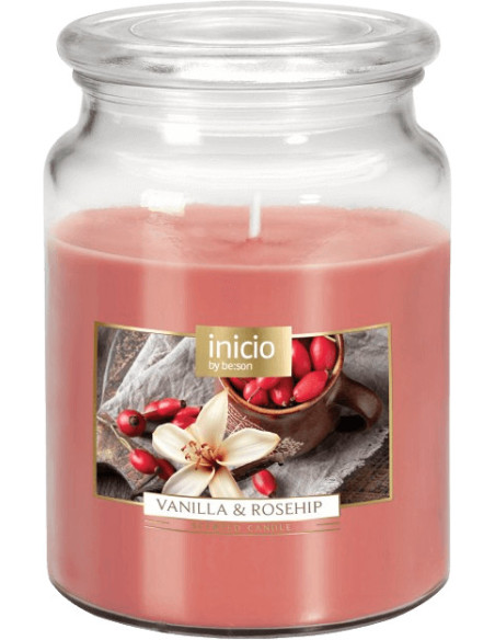 INICIO VANILLA ROSEHIP 100H