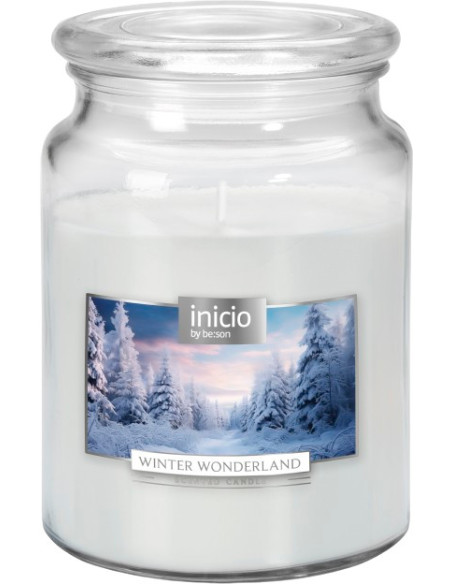 INICIO WINTER WONDER
