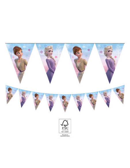 FLAGGSPEL FROZEN 2 2,3M