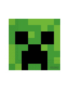SERVETT MINECRAFT