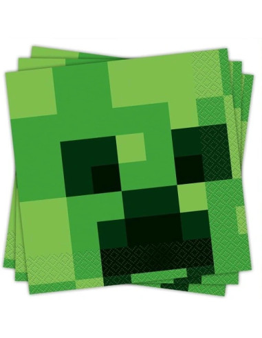 SERVETT MINECRAFT