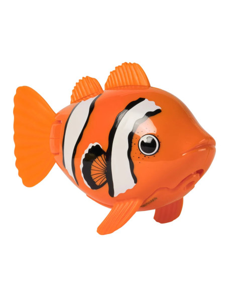 RAINBOW REEF FISH ORANGE
