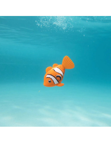 RAINBOW REEF FISH ORANGE