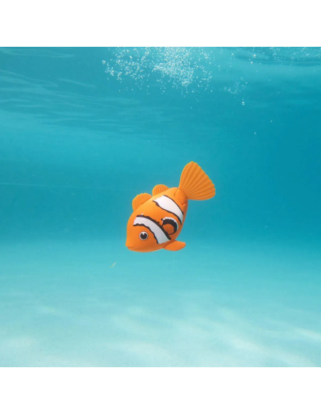 RAINBOW REEF FISH ORANGE