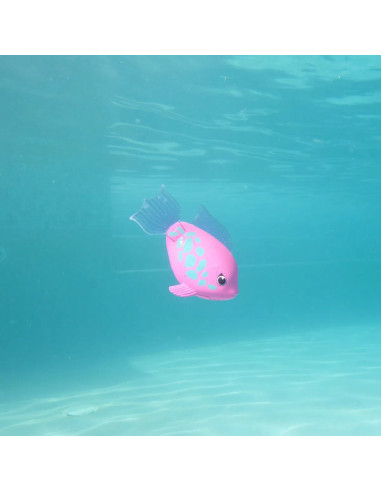 RAINBOW REEF FISH PINK