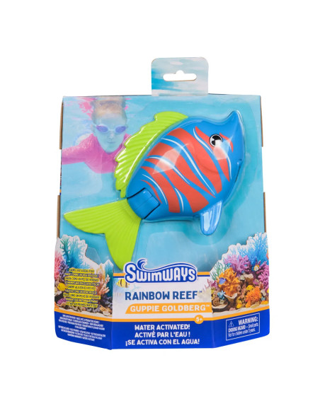 RAINBOW REEF FISH BLUE