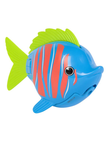 RAINBOW REEF FISH BLUE