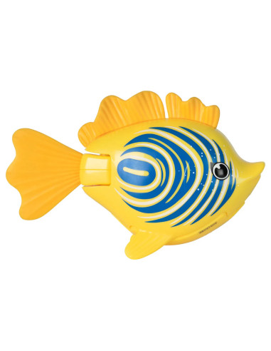RAINBOW REEF FISH YELLOW
