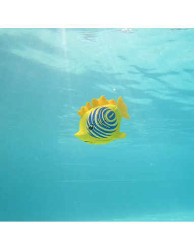 RAINBOW REEF FISH YELLOW