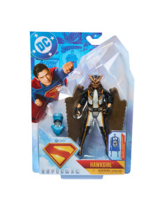 DC SUPERMAN MOVIE HAWKGIRL