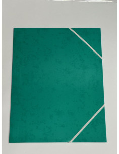 G-MAPP PAPP TURKOS