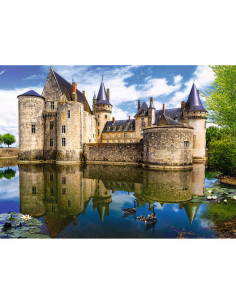 3000B CASTLE IN FRANCE REA 2