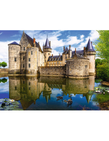 3000B CASTLE IN FRANCE REA