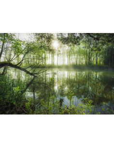 1000B HOMELAND JUNGLE 2