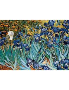 1000B ART IRISES VINCENT VAN GOGH 2