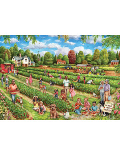 1000B STRAWBERRY PICKING 2