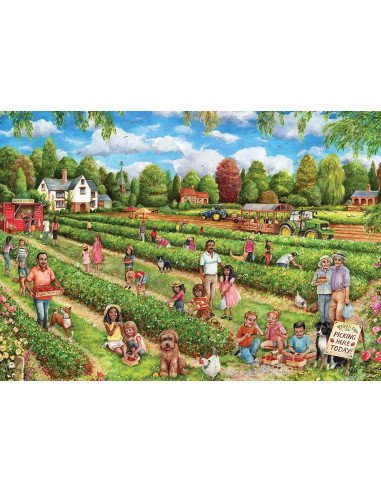 1000B STRAWBERRY PICKING