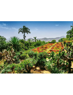1000B BOTANICAL GARDEN MADEIRA 2
