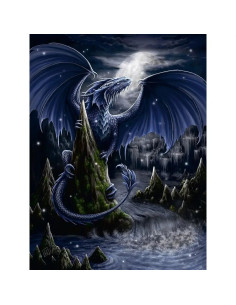 1500B THE DARK BLUE DRAGON 2